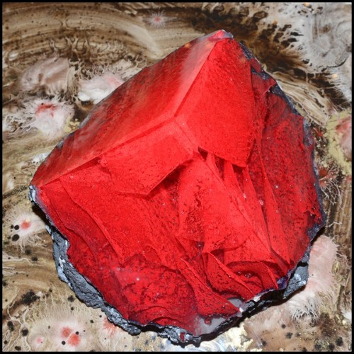 Set de deux sculptures en pâte de verre avec lanières en pâte de verre colorées en rouges et bleu PC-Glass Alchemy