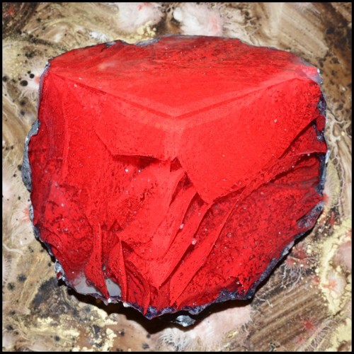 Set de deux sculptures en pâte de verre avec lanières en pâte de verre colorées en rouges et bleu PC-Glass Alchemy