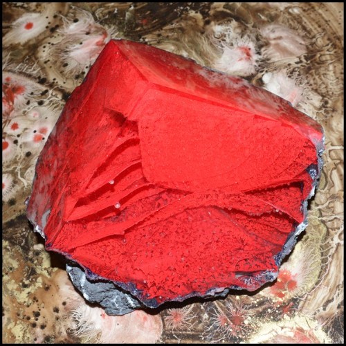 Set de deux sculptures en pâte de verre avec lanières en pâte de verre colorées en rouges et bleu PC-Glass Alchemy