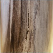 Column in solid petrified wood from Indonesia PC-Small Petrified WC