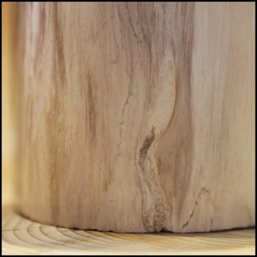 Column in solid petrified wood from Indonesia PC-Small Petrified WC