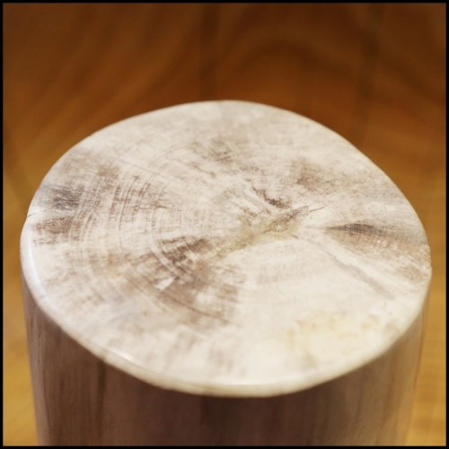 Colonne en bois pétrifié massif d'Indonésie PC-Petrified WC