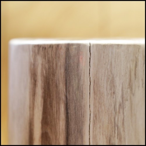 Column in solid petrified wood from Indonesia PC-Small Petrified WC