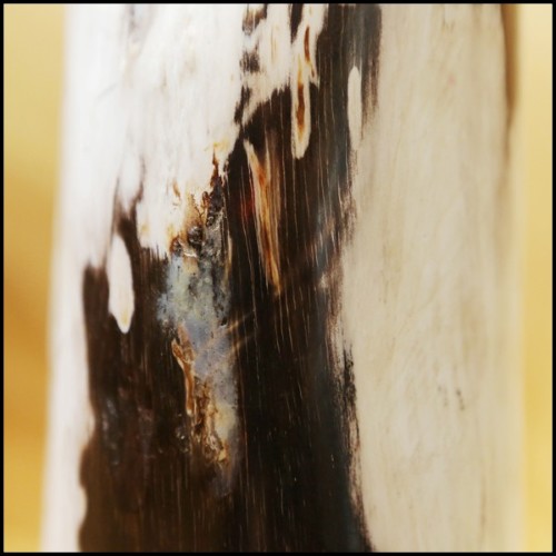 Column in solid petrified wood from Indonesia PC-Petrified WA