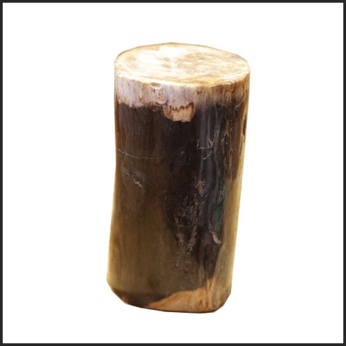 Column in solid petrified wood from Indonesia PC-Petrified WD