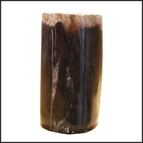 Column in solid petrified wood from Indonesia PC-Petrified WD