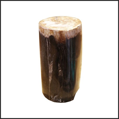 Column in solid petrified wood from Indonesia PC-Petrified WD