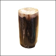 Column in solid petrified wood from Indonesia PC-Petrified WD