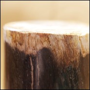 Column in solid petrified wood from Indonesia PC-Petrified WD