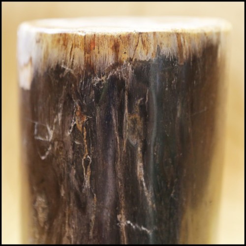 Column in solid petrified wood from Indonesia PC-Petrified WD