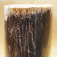Column in solid petrified wood from Indonesia PC-Petrified WD