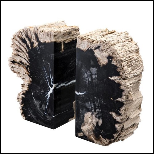 Bookend made of set of 2 petrified wood 24-Petrified Bookend