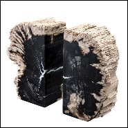 Serre-livre composé d'un ensemble de 2 bois pétrifiés 24-Petrified Book
