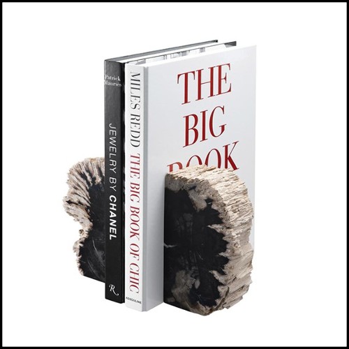 Bookend made of set of 2 petrified wood 24-Petrified Bookend