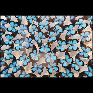 Wall decoration with real Ulysse butterflies from bredding farms in Australia PC-Ulysse Butterflies