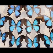 Wall decoration with real Ulysse butterflies from bredding farms in Australia PC-Ulysse Butterflies