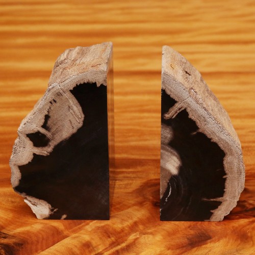 Bookends in solid petrified wood from Indonesia 24-Petrified