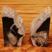 Bookends in solid petrified wood from Indonesia 24-Petrified