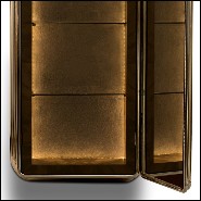 Cabinet avec structure en racine de noyer massif recouvert de tubes en laiton plaqué Gold 169-Brass Case