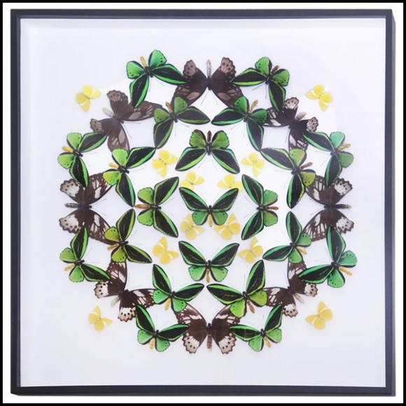 Wall decoration with natural butterflies from farms from Thaïland PC-Green Butterflies