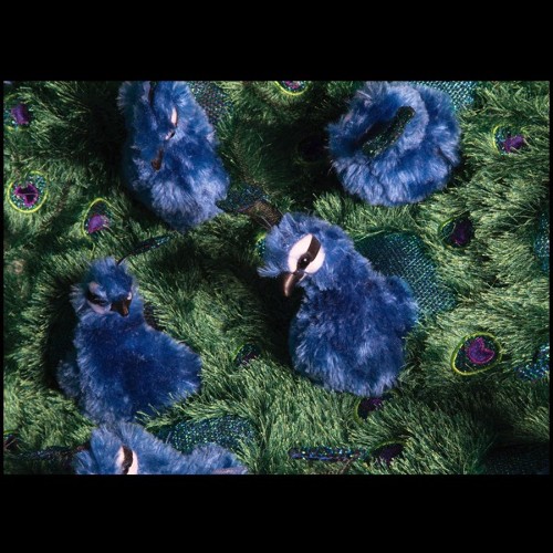 Armchair made with real peacock feathers on all the back seat PC-Peacock