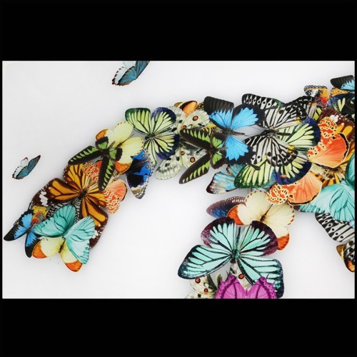 Photo wall decoration plexiglass PC-Chanel Butterflies