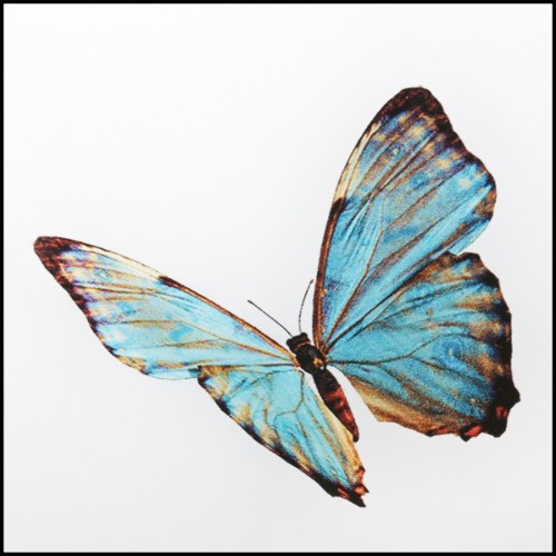 Photo décoration murale sur plexiglass PC-Chanel Butterflies