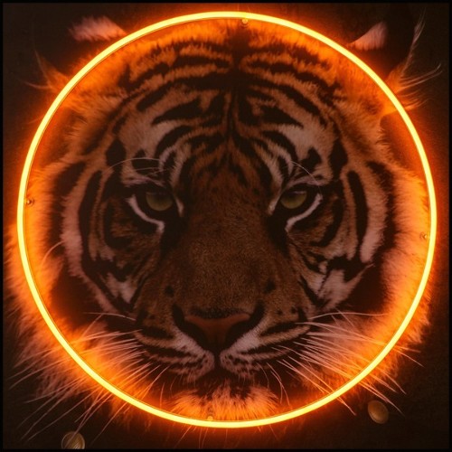 Wall decoration with photo on canvas with wooden frame and orange round LED neon 173-Tiger Neon