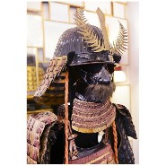 Armure de samouraï avec blason (Hira-Gaku) de Mori-Kawa PC-Samuraï Mori-Kawa