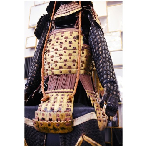 Armure de samouraï avec blason (Hira-Gaku) de Mori-Kawa PC-Samuraï Mori-Kawa