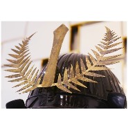 Samuraï Warrior Armor with coat of arms (Hira-Gaku) from Mori-Kawa PC-Samuraï Mori-Kawa