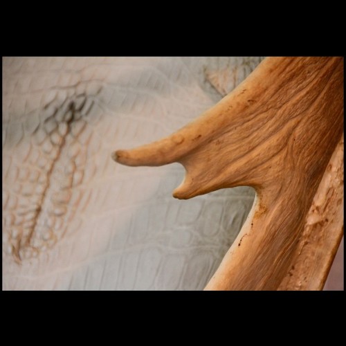 Trône en alligator blanc et bois d'élan naturel PC-White Alligator