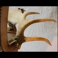 Trône en alligator blanc et bois d'élan naturel PC-White Alligator