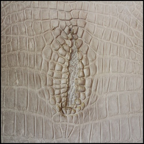 Trône en alligator blanc et bois d'élan naturel PC-White Alligator