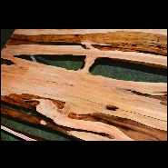 Aquariquara and resin coffee table PC-Aquariquara