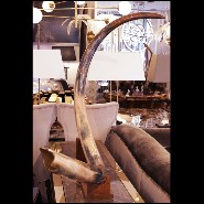 Single large Mammoth tusk meticulously restored PC-Mammoth Single Large