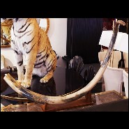 Single large Mammoth tusk meticulously restored PC-Mammoth Single Large