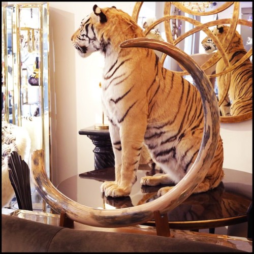 Single large Mammoth tusk meticulously restored PC-Mammoth Single Large