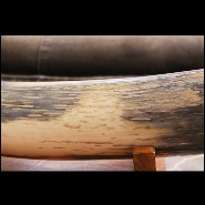 Single large Mammoth tusk meticulously restored PC-Mammoth Single Large