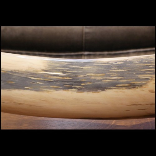 Single large Mammoth tusk meticulously restored PC-Mammoth Single Large