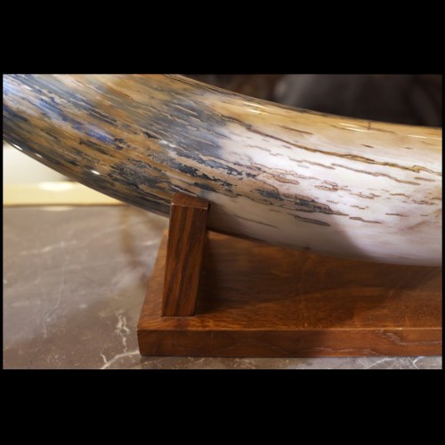 Single large Mammoth tusk meticulously restored PC-Mammoth Single Large