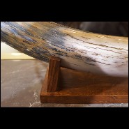 Single large Mammoth tusk meticulously restored PC-Mammoth Single Large