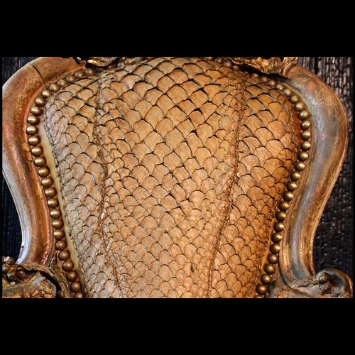 Fauteuil avec peau de piraruku et avec bois de rennes et queue de girafe PC-Piraruku