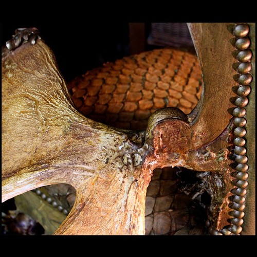 Fauteuil avec peau de piraruku et avec bois de rennes et queue de girafe PC-Piraruku
