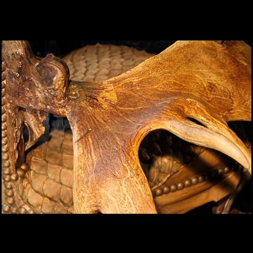 Fauteuil avec peau de piraruku et avec bois de rennes et queue de girafe PC-Piraruku