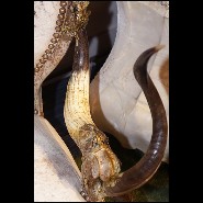 Canapé en bois de Hêtre avec peau de Zèbre, cornes de Zebu et amethyste PC-Sofa Zebra