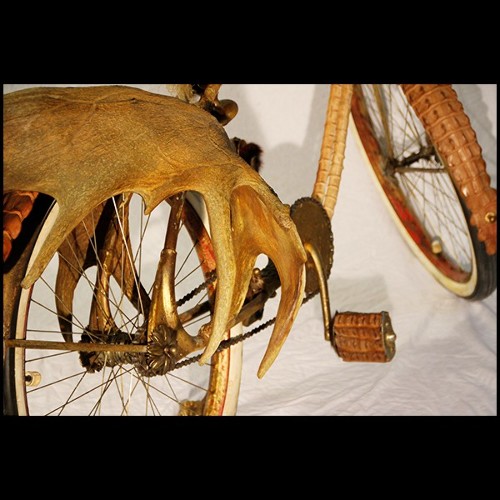 Vélo Original Twin 1920 Modèle Elgin avec cornes PC-Safari