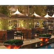 Parasol 62-O.M PAGODA