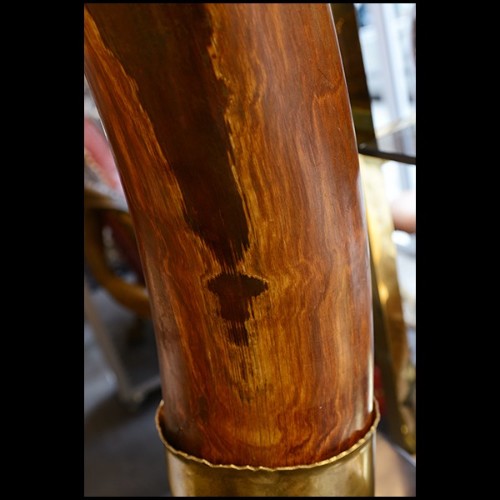 Défense sur base en bois noir PC-Straight Mammoth Tusk