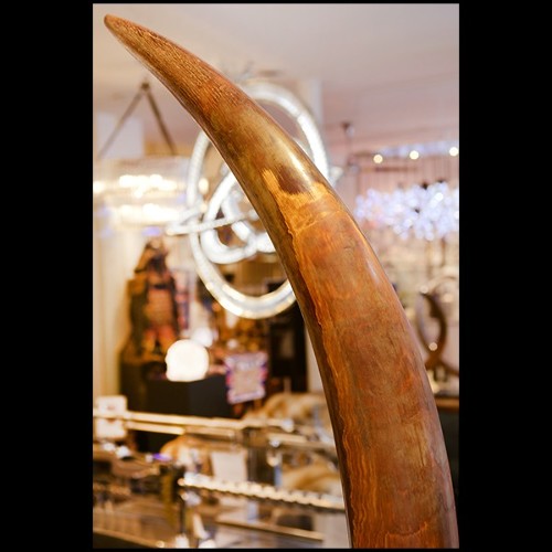Tusk on Black Wooden Base PC-Straight Mammoth Tusk
